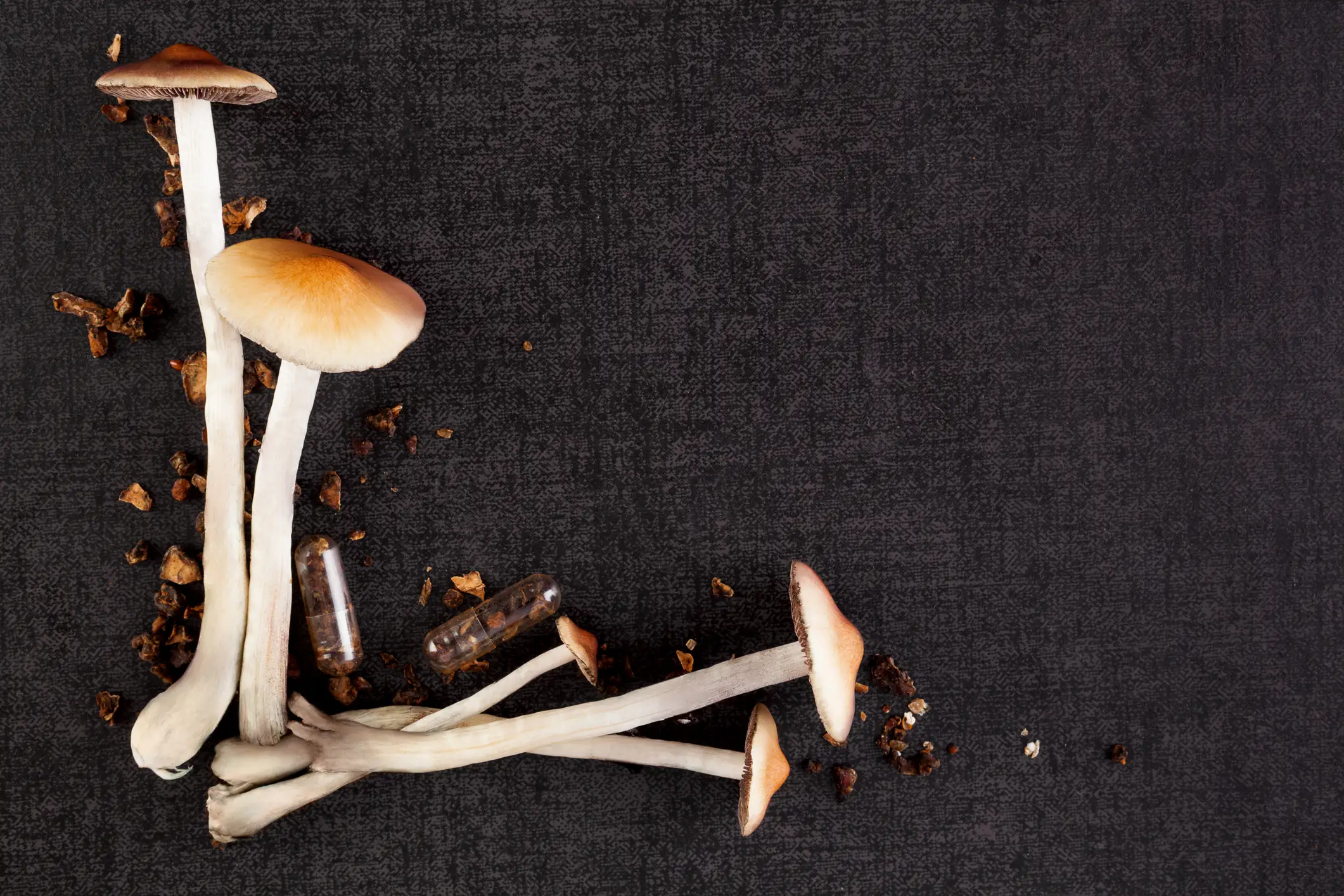 Exploring the Psychedelic Frontier: Promising Studies on Psychedelics for Treating Depression