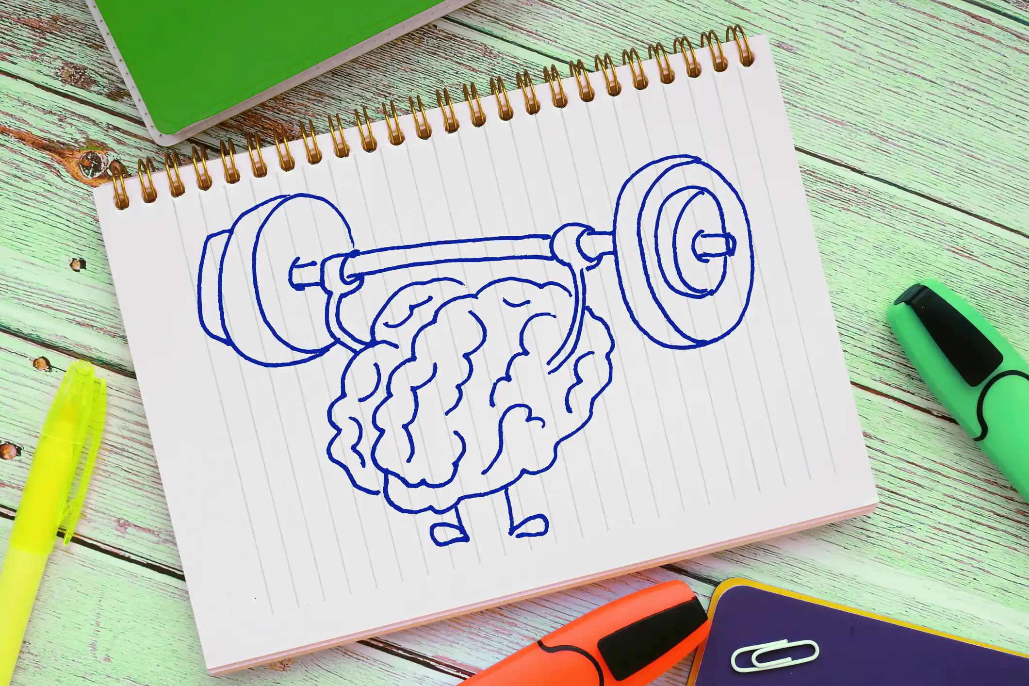 Exploring the Powerful Link Between Physical and Mental Wellness: An In-Depth Analysis